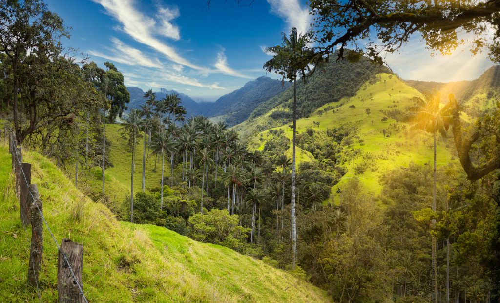 Valle-del-cocora-Colombia