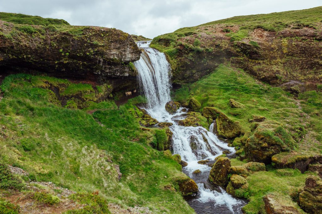 Cascada-sheeps-waterfall-Islandia